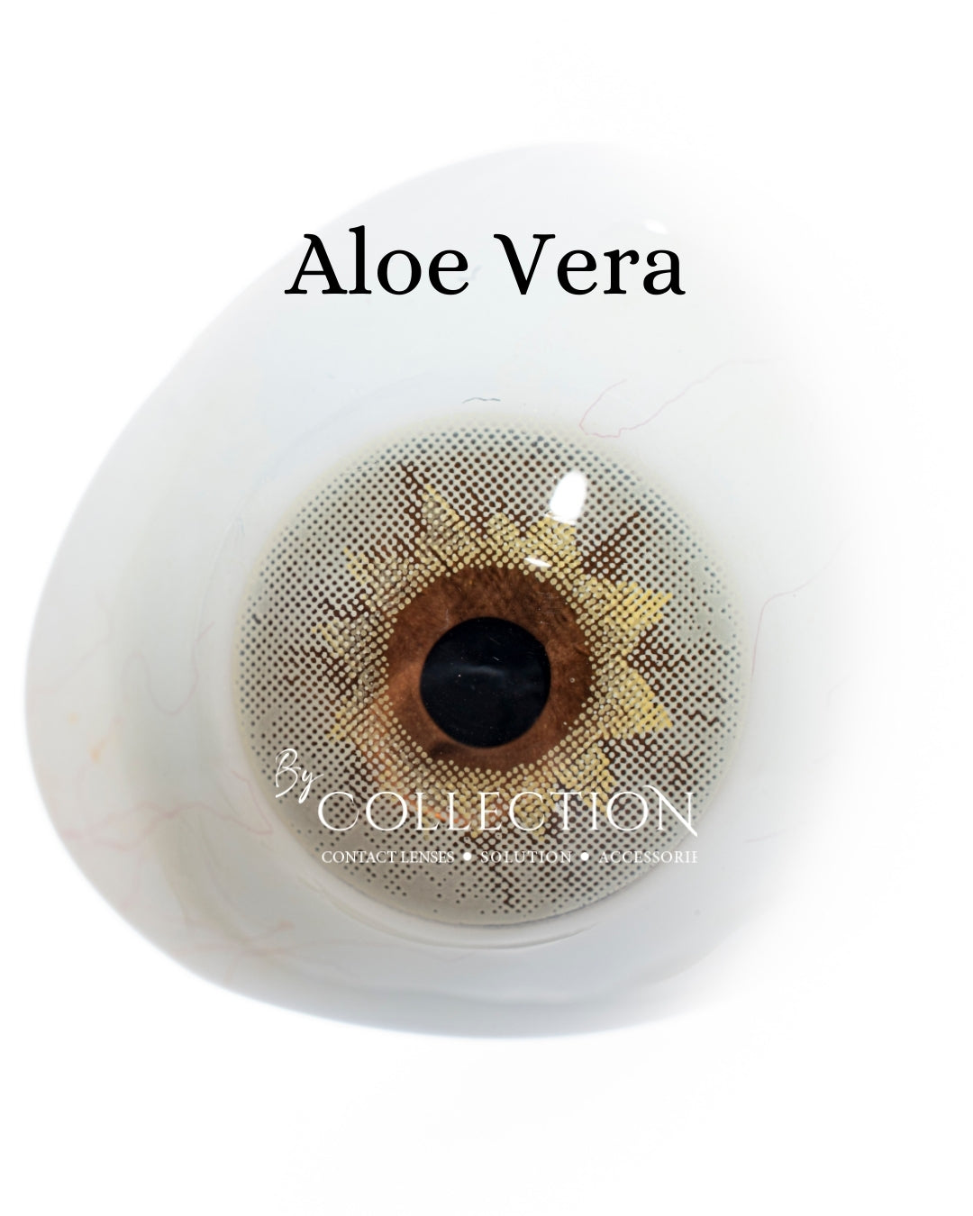 Green Aloe Vera: Green Collection