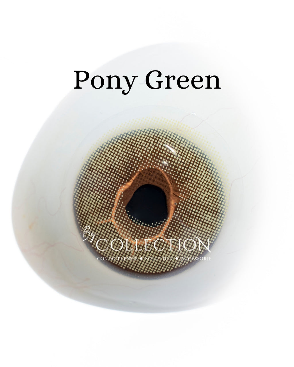 Green Pony: Green Collection