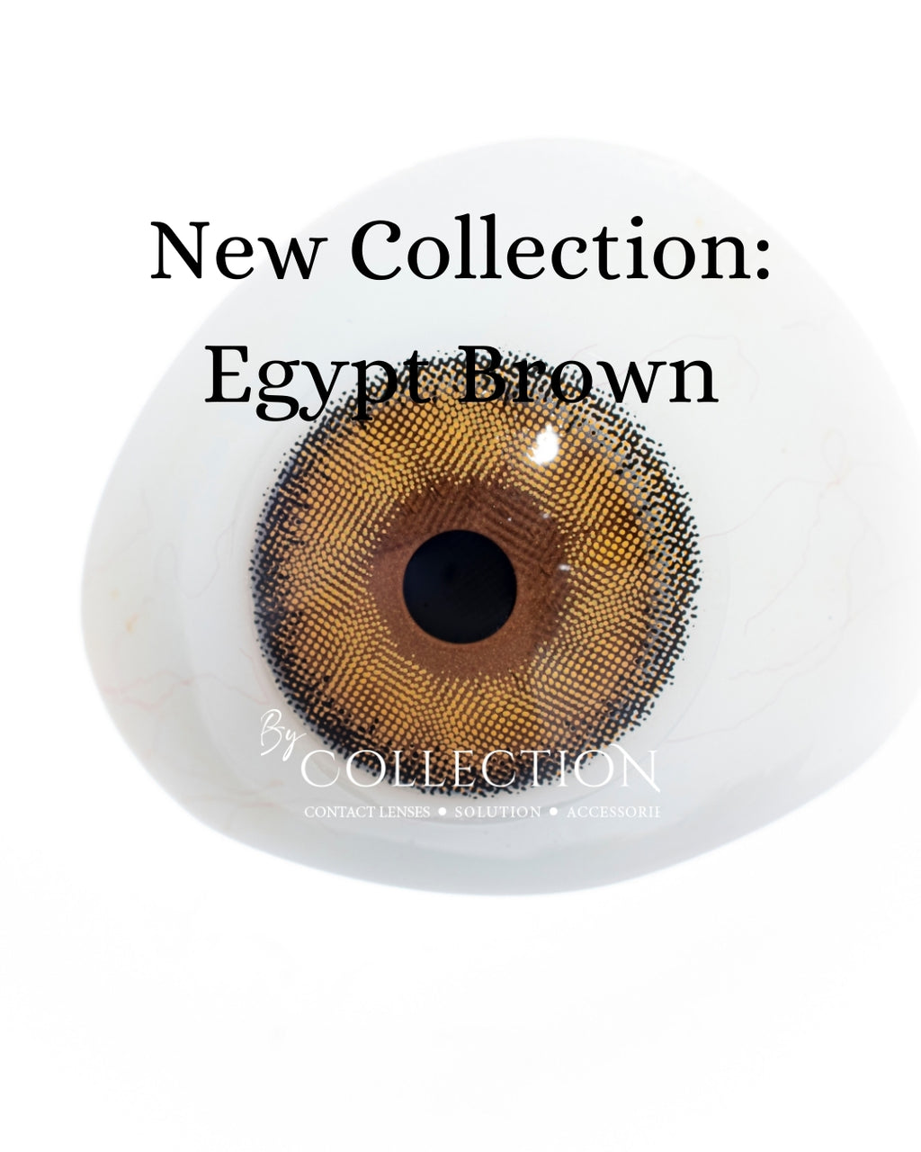 Brown Egypt: New Collection