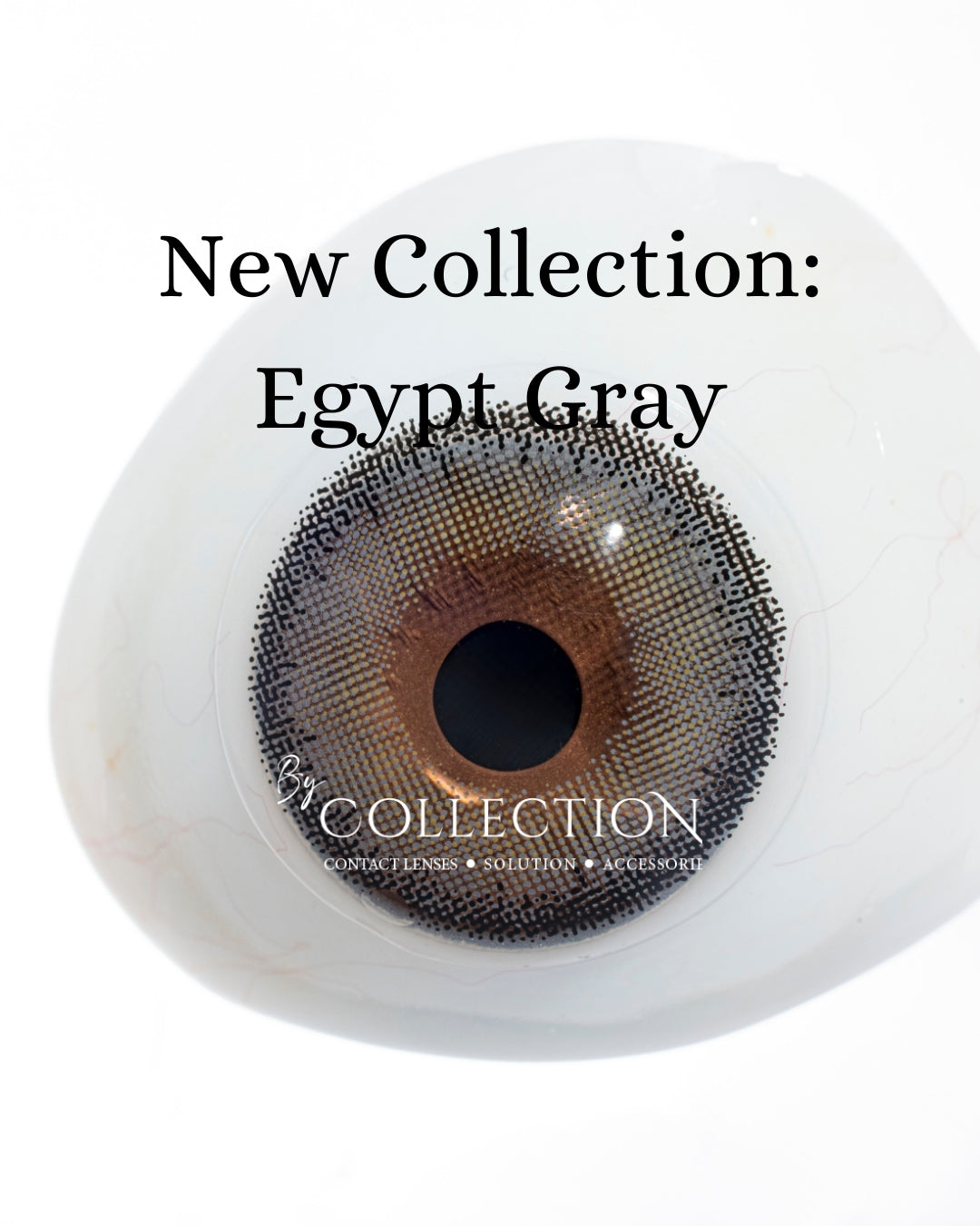 Gray Egypt: New Collection