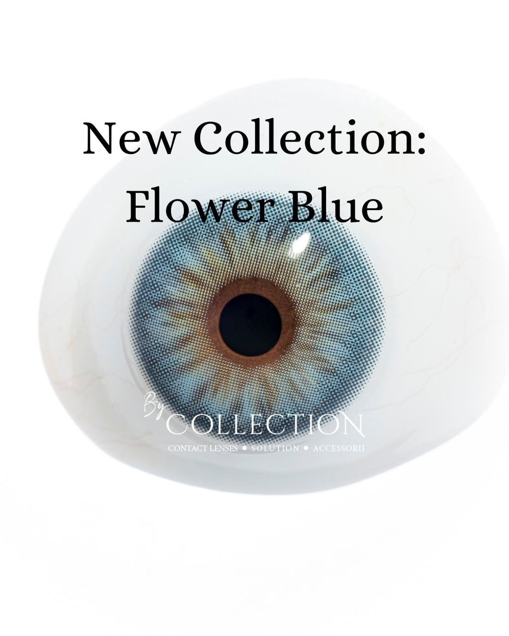 Blue Flower: New Collection