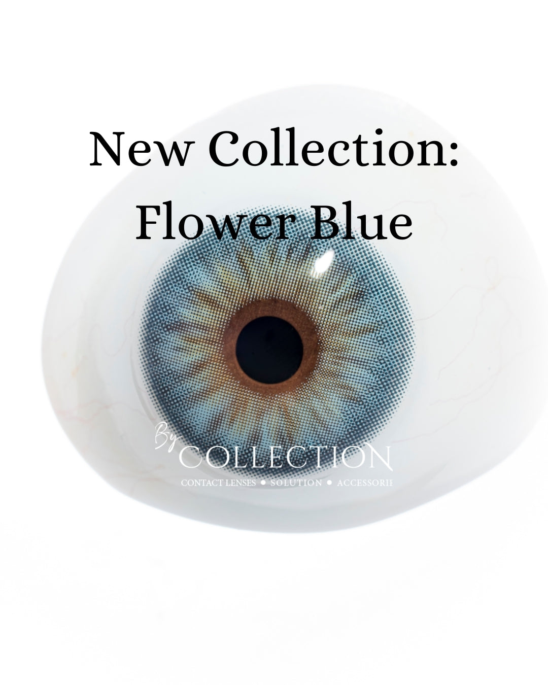 Blue Flower: New Collection