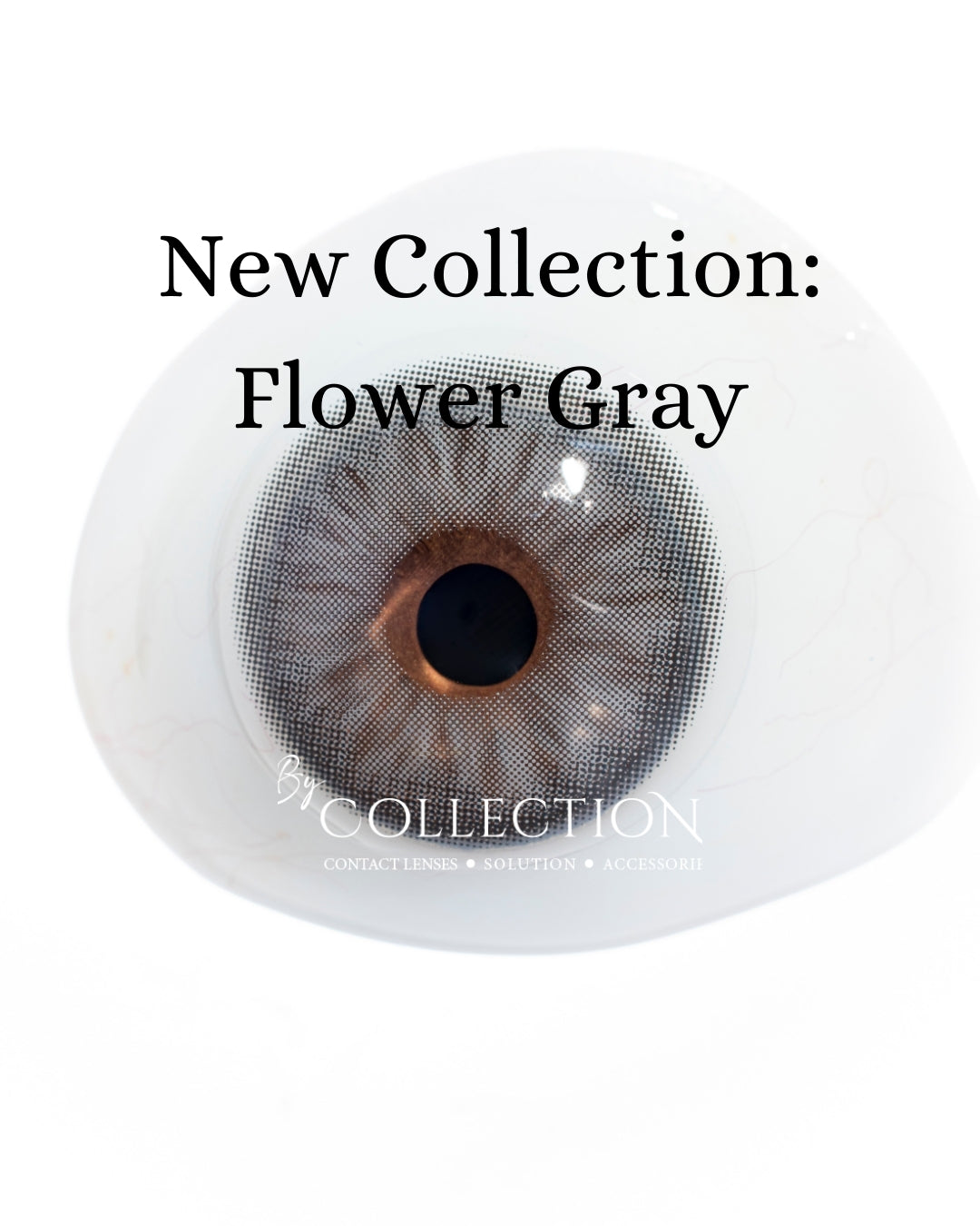Gray Flower: New Collection