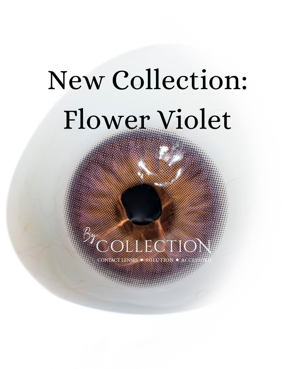 Violet Flower: New Collection