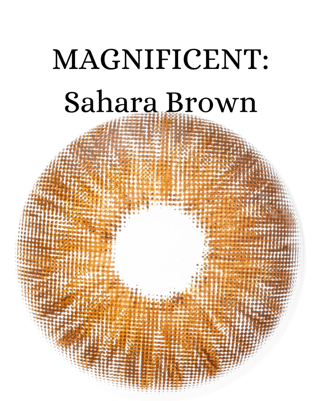 Brown Sahara: MAGNIFICENT CAJA de 10 lentes