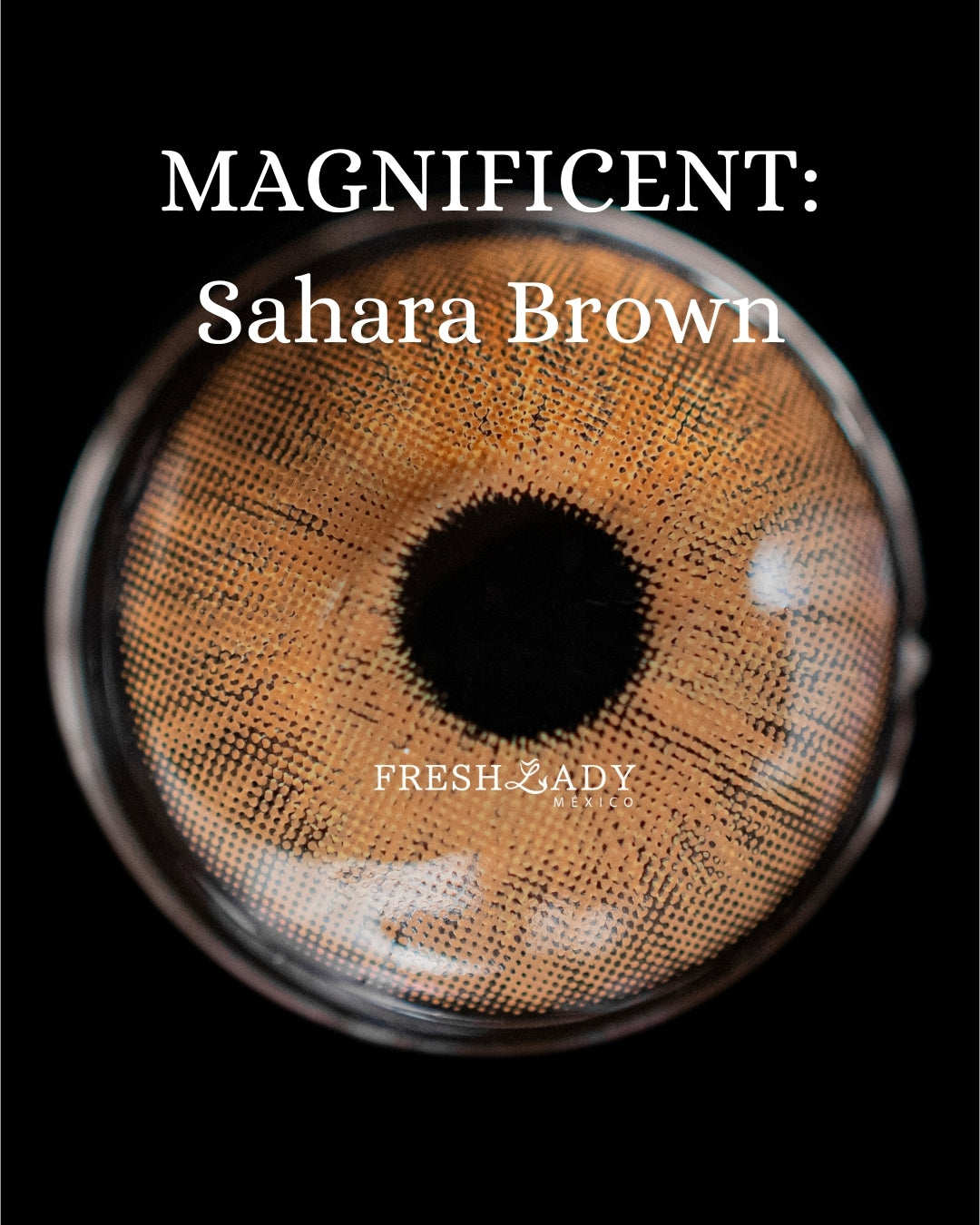 Brown Sahara: MAGNIFICENT CAJA de 10 lentes