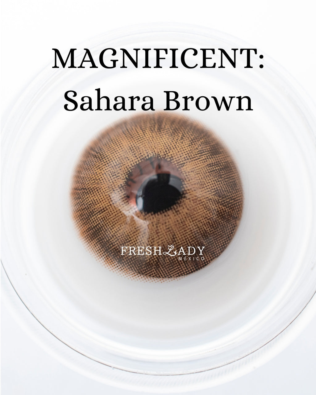 Brown Sahara: Magnificent