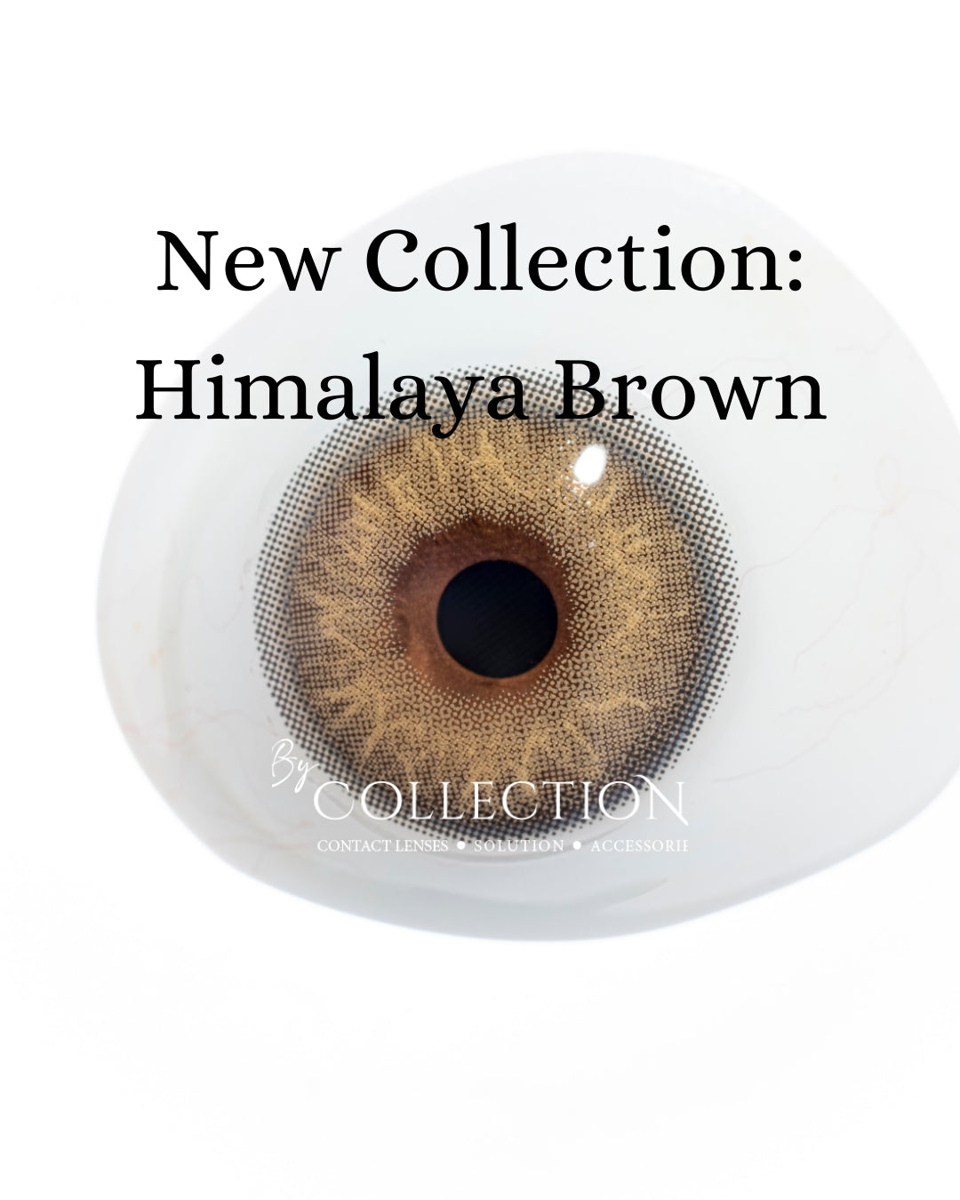 Brown Himalaya: New Collection