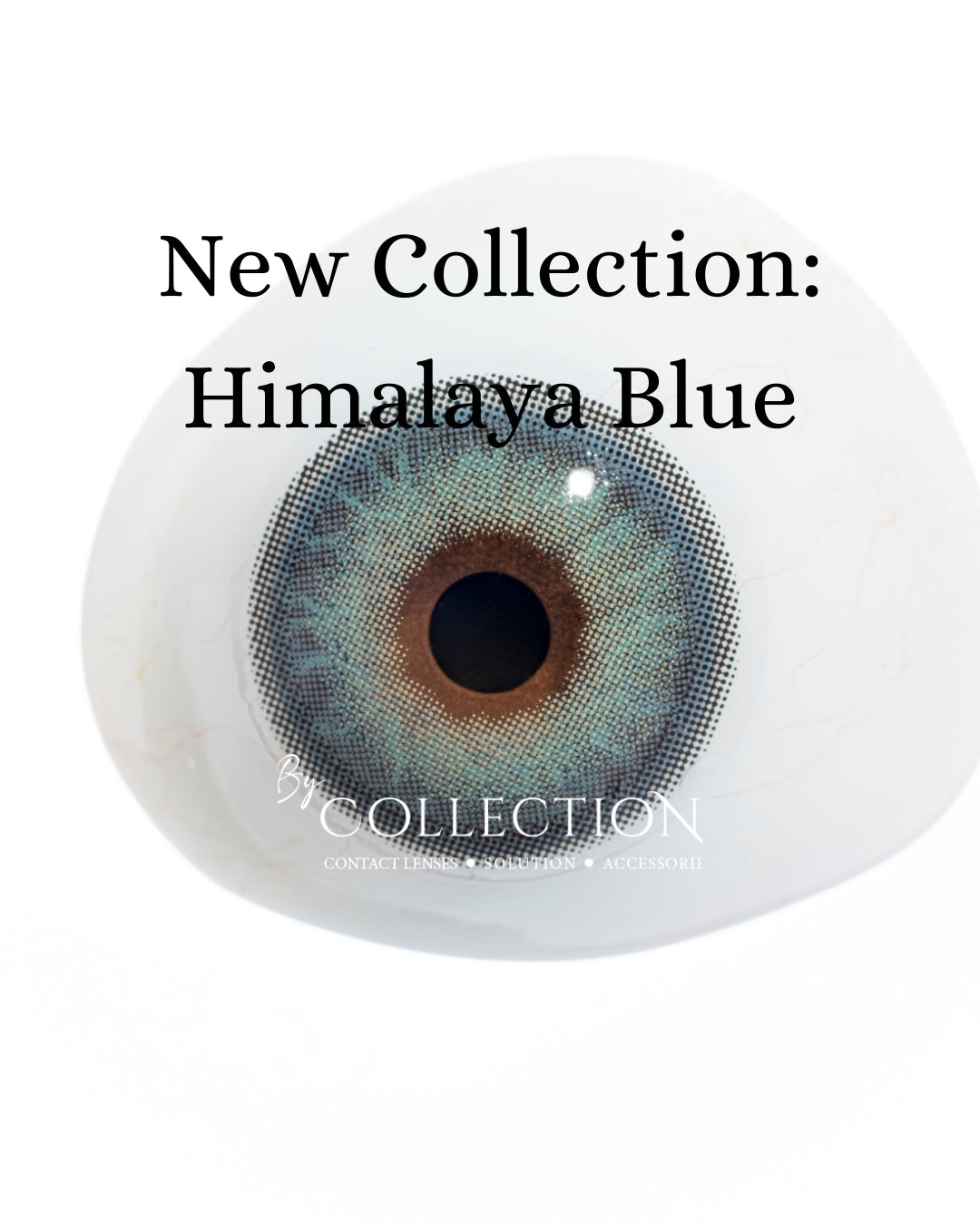 Blue Himalaya: New Collection
