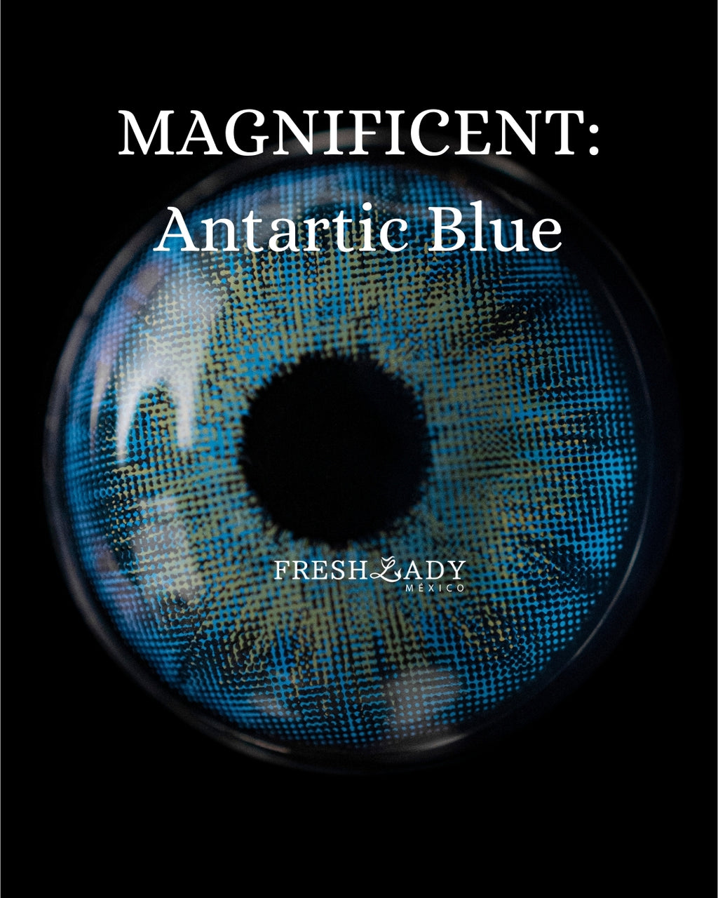 Blue Antartic: MAGNIFICENT CAJA de 10 lentes