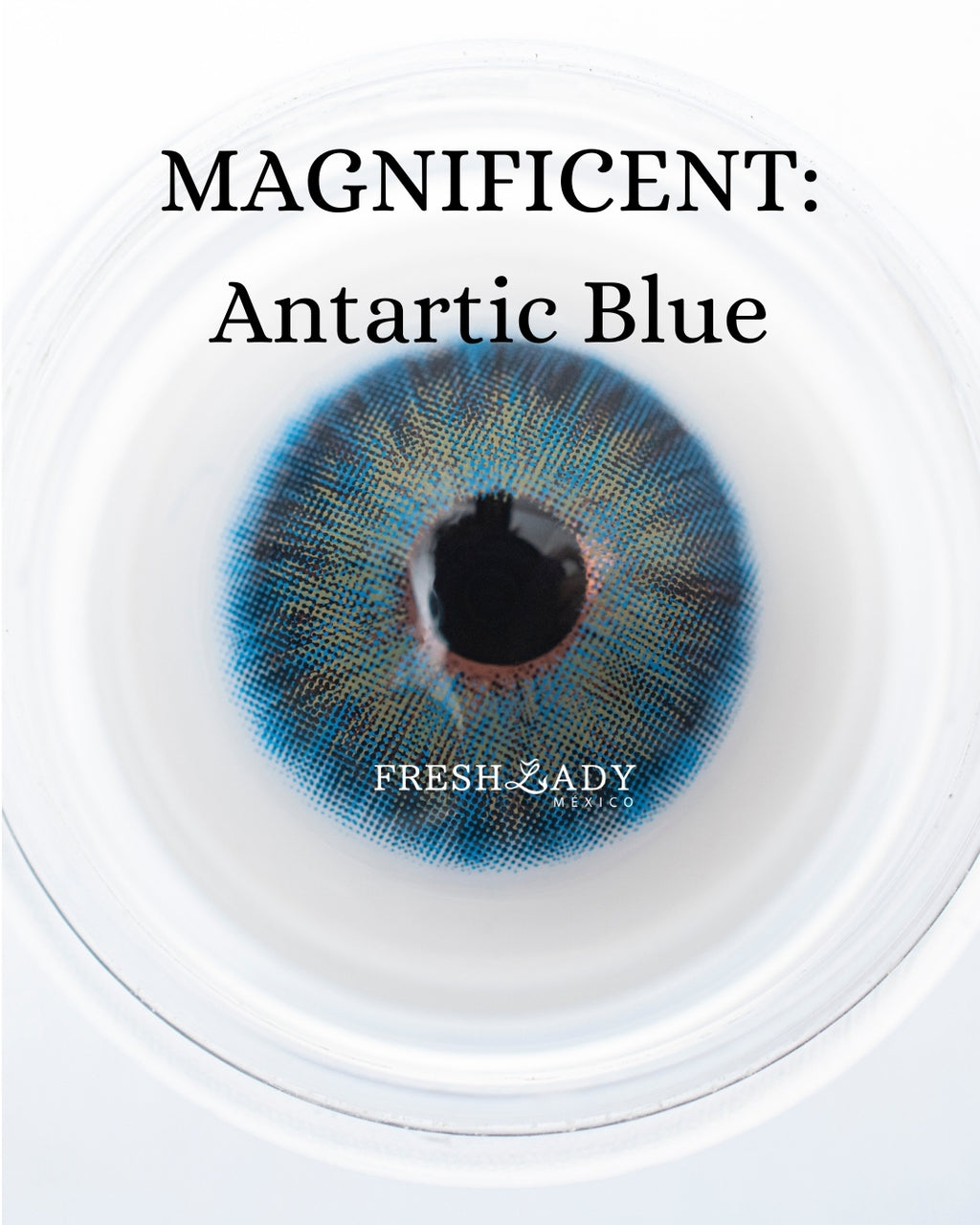 Blue Antartic: Magnificent
