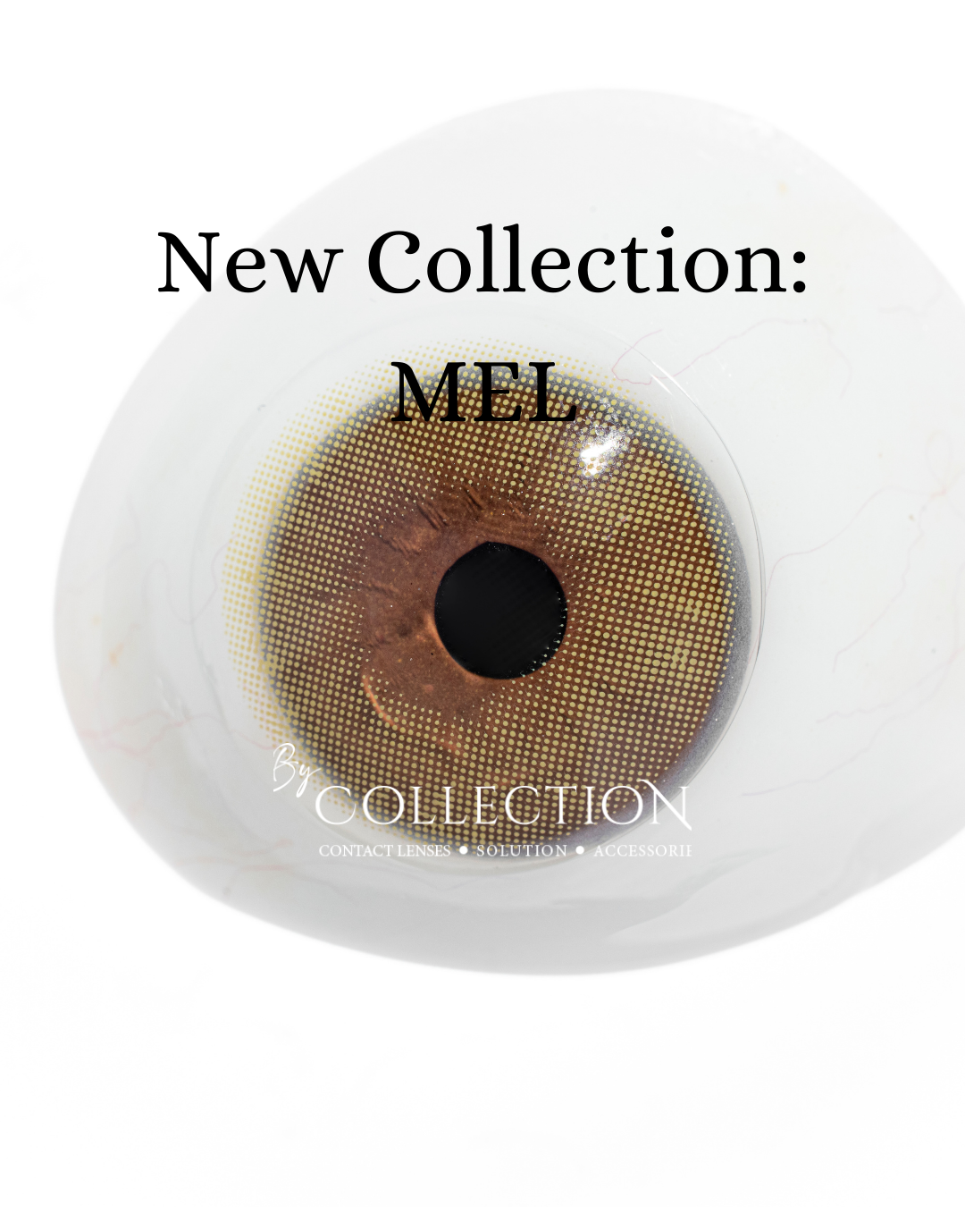 Green MEL: New Collection