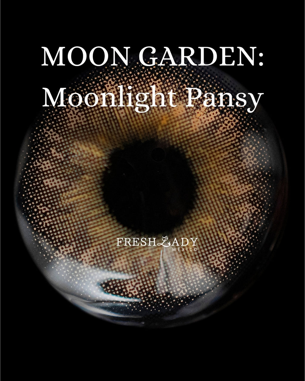 Hazel Moonlight Pansy: Moon Garden