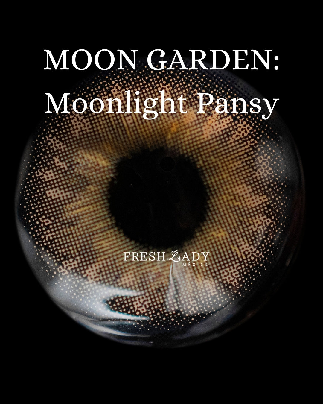 Hazel Moonlight Pansy: Moon Garden