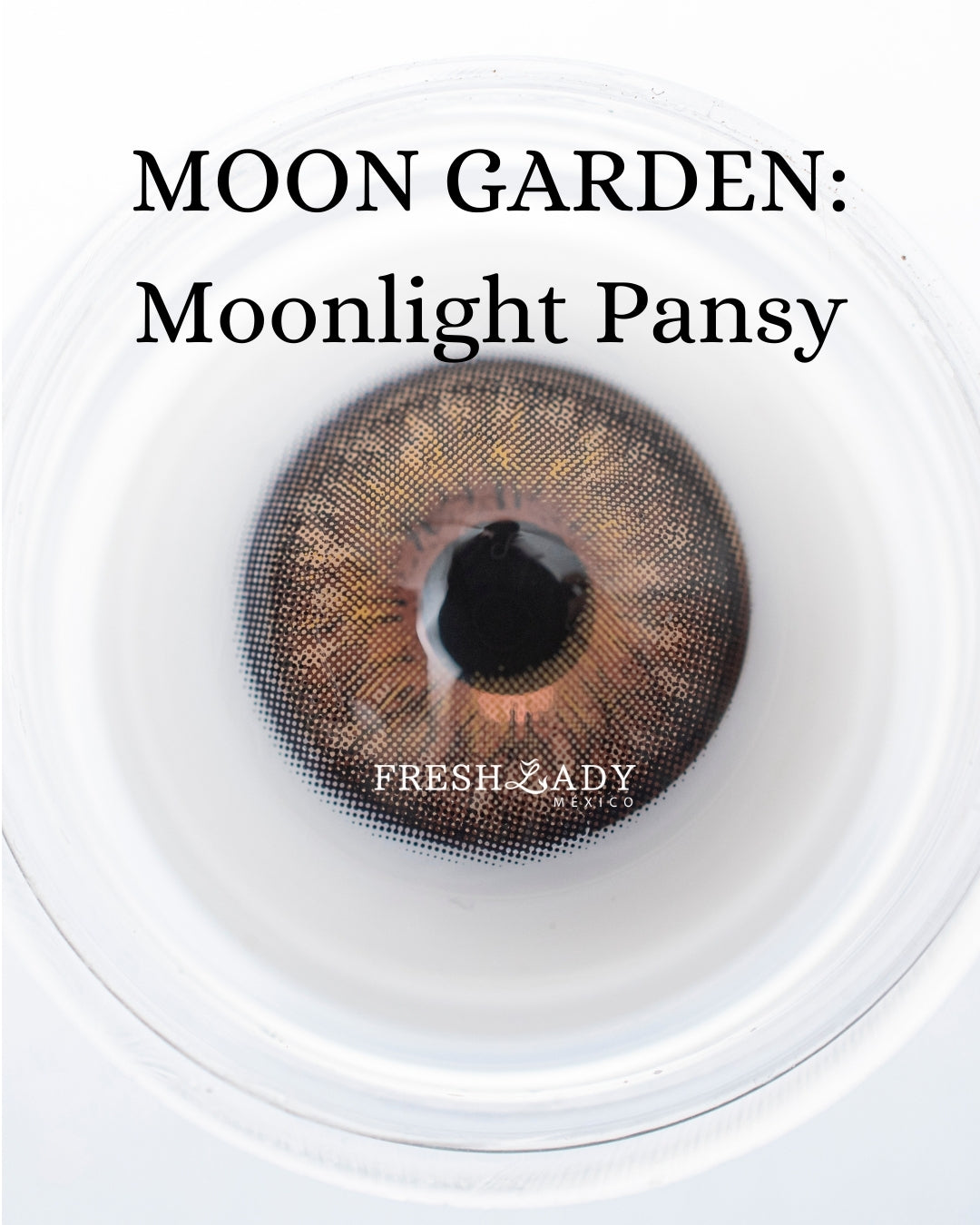 Hazel Moonlight Pansy: MOON GARDEN CAJA de 10 lentes