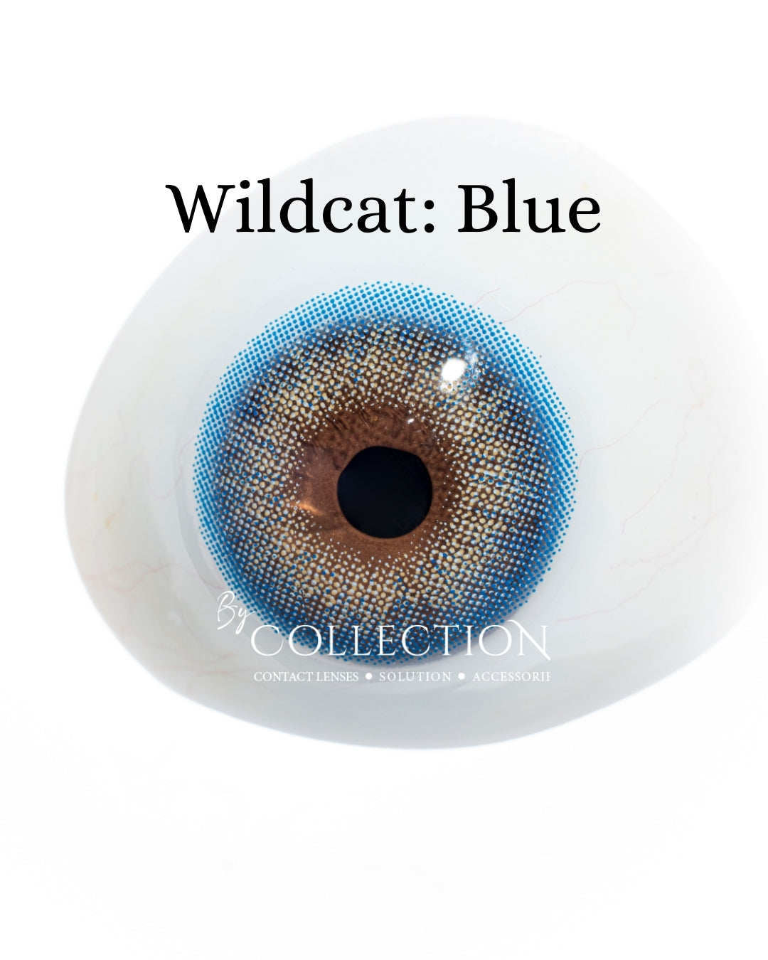 Blue: WildCat
