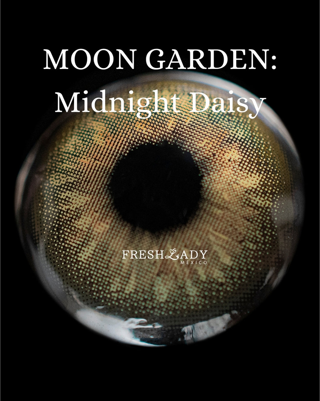 Green Midnight Daisy: Moon Garden