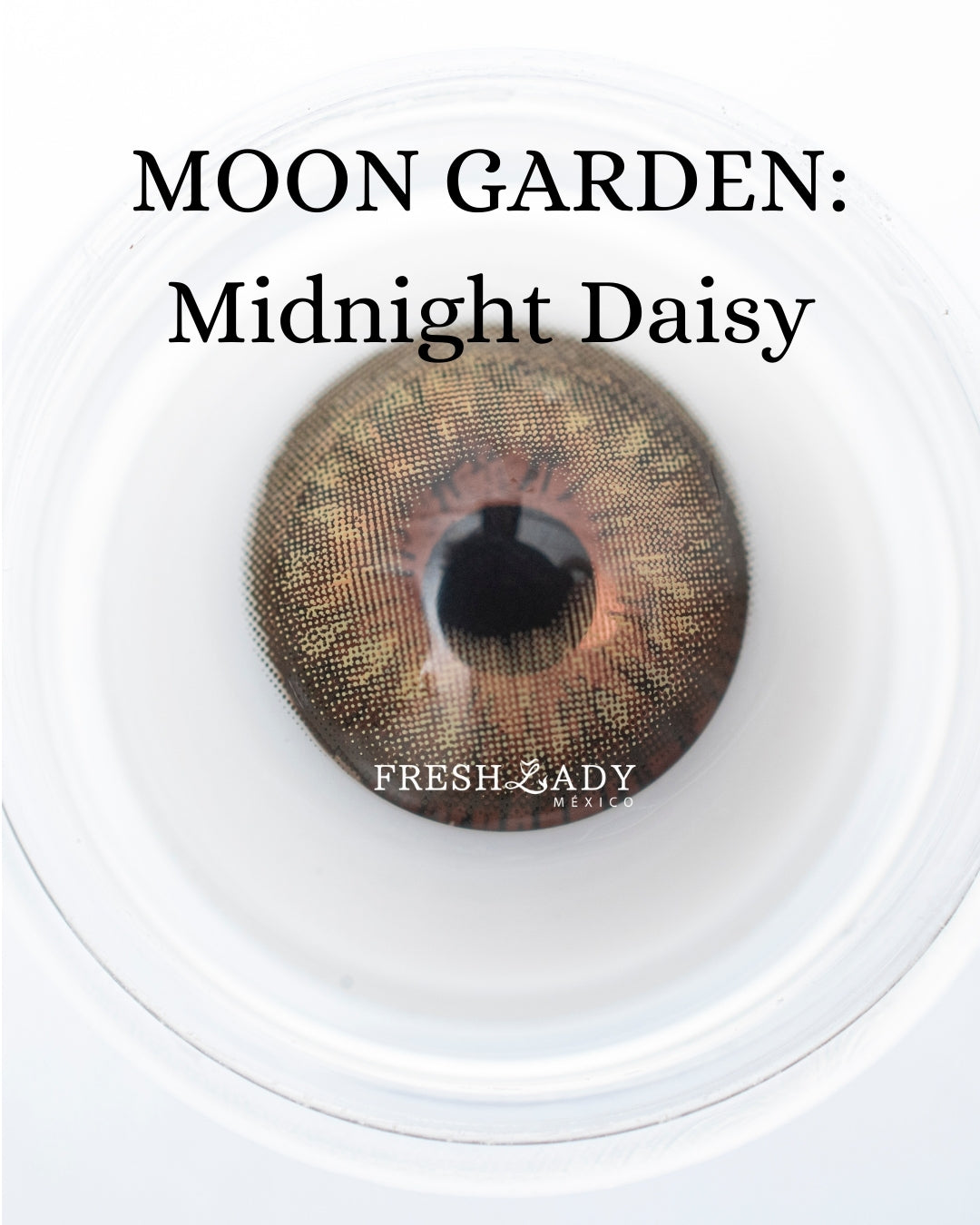 Green Midnight Daisy: Moon Garden