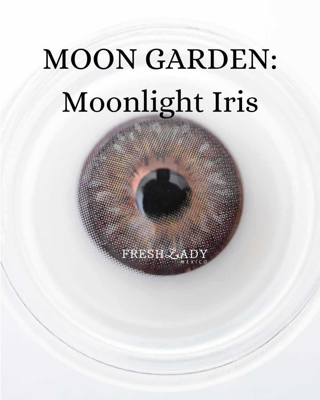 Gray Moonlight Iris: Moon Garden