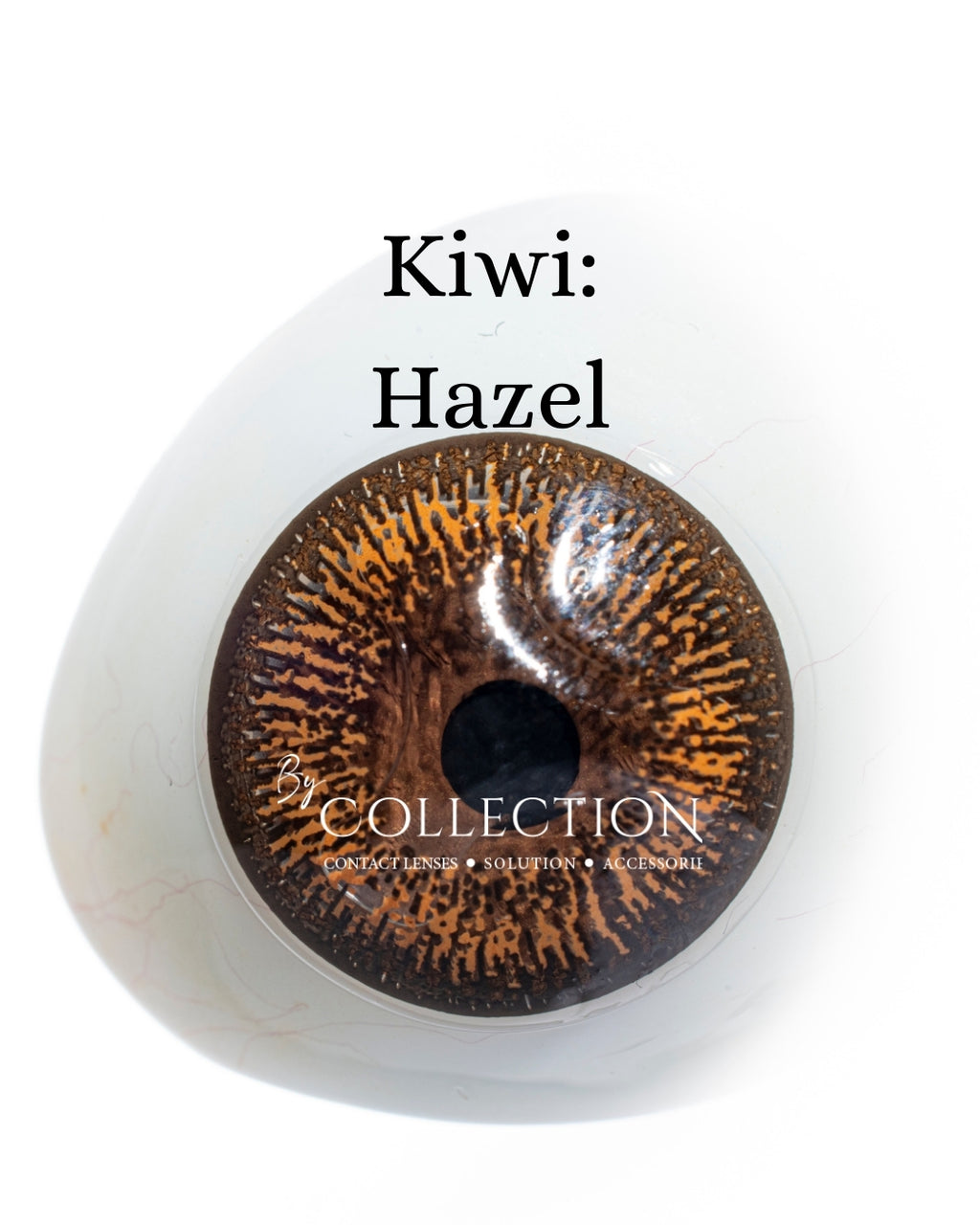 Hazel: Kiwi