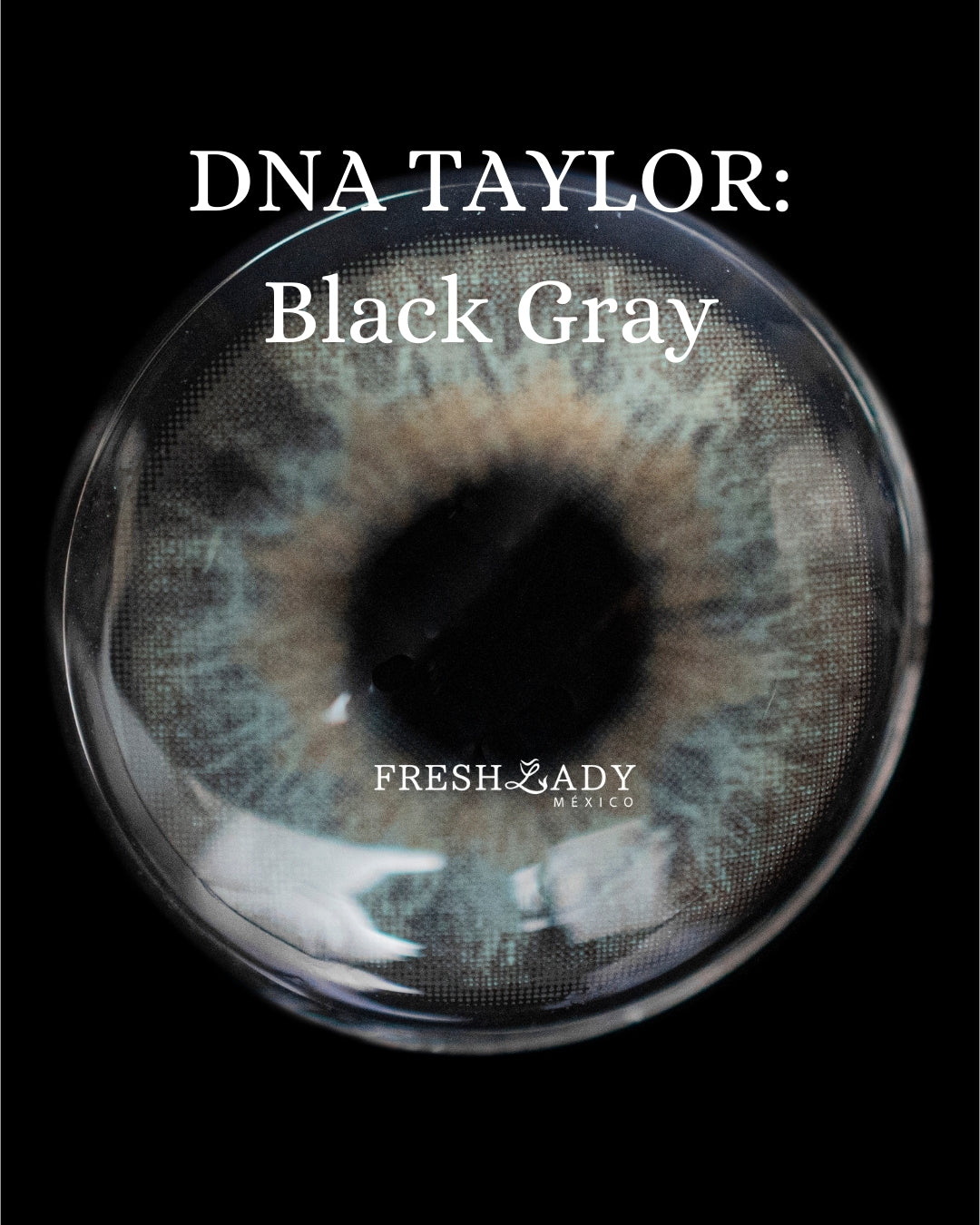 Gray Black: DNA TAYLOR CAJA de 10 lentes
