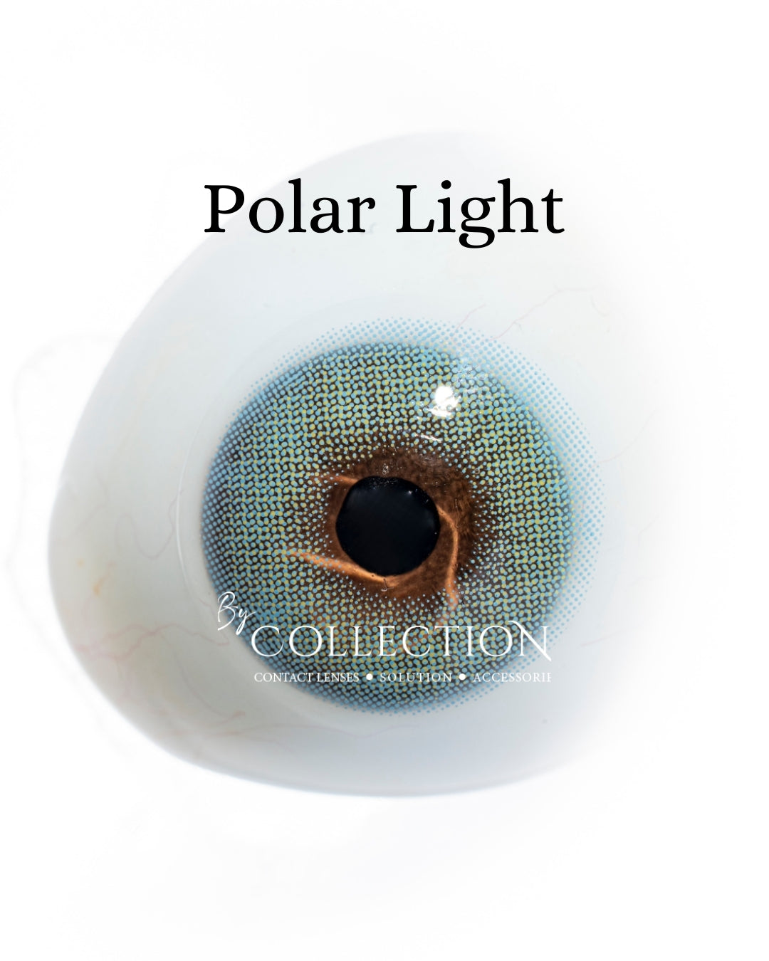 Brown: Polar Light