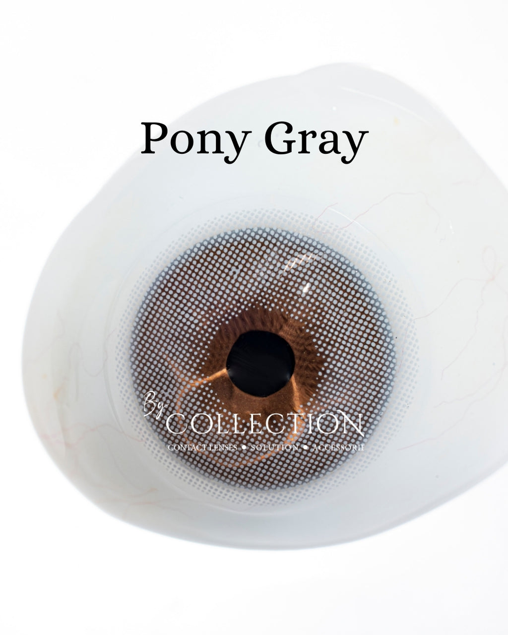 Gray Pony: Gray Collection