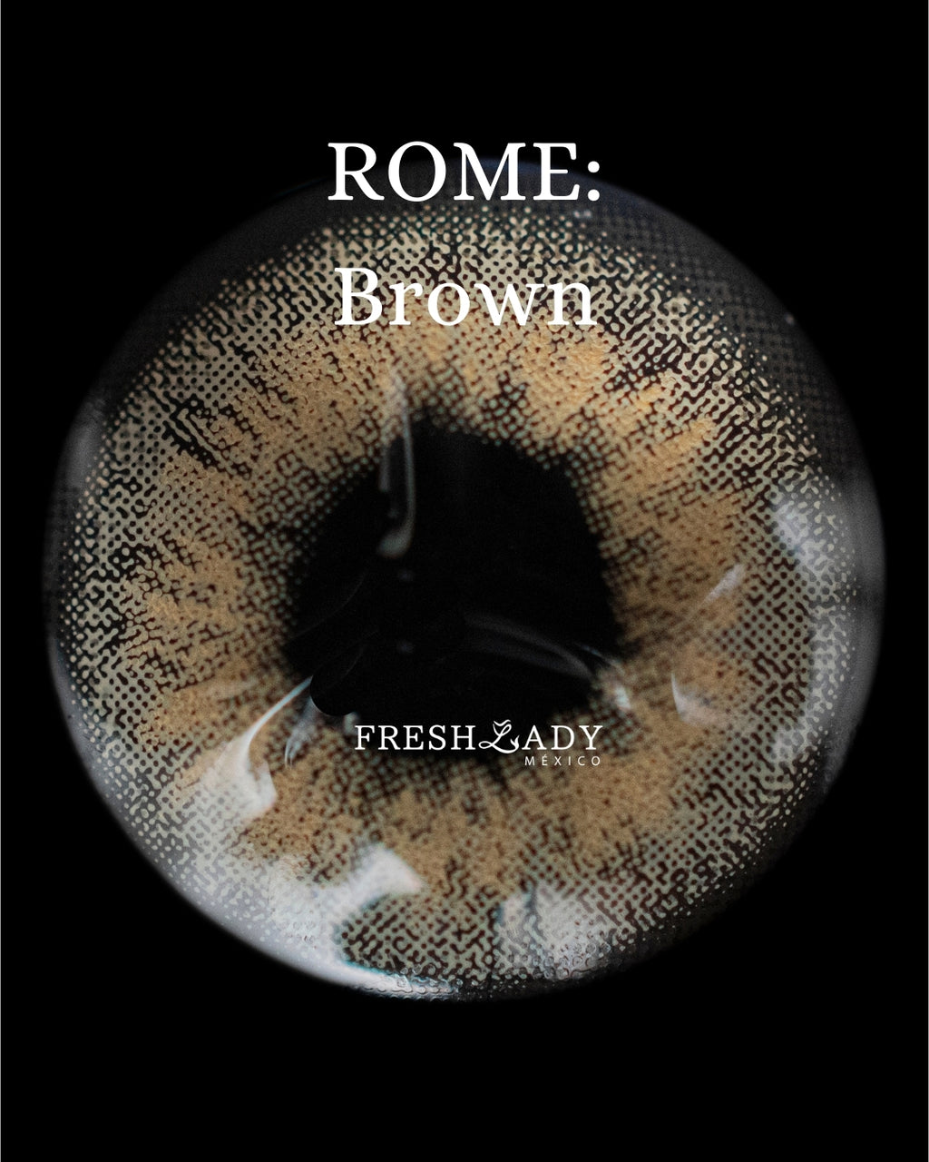 Brown: ROME CAJA de 10 lentes