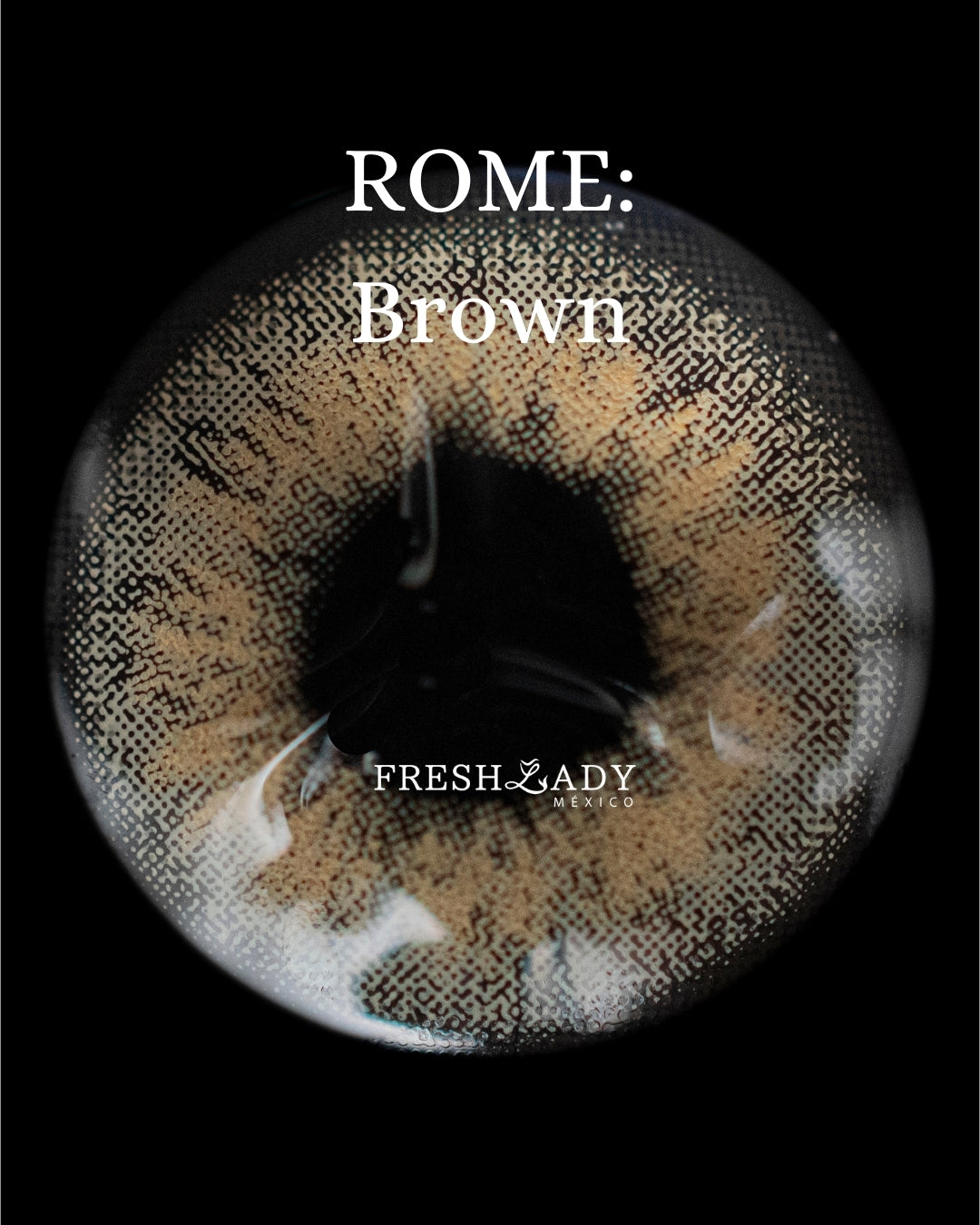 Brown: ROME CAJA de 10 lentes