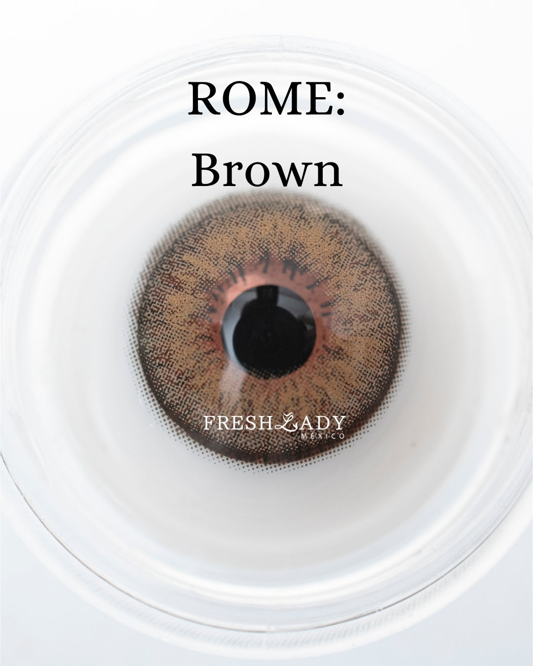 Brown: ROME CAJA de 10 lentes