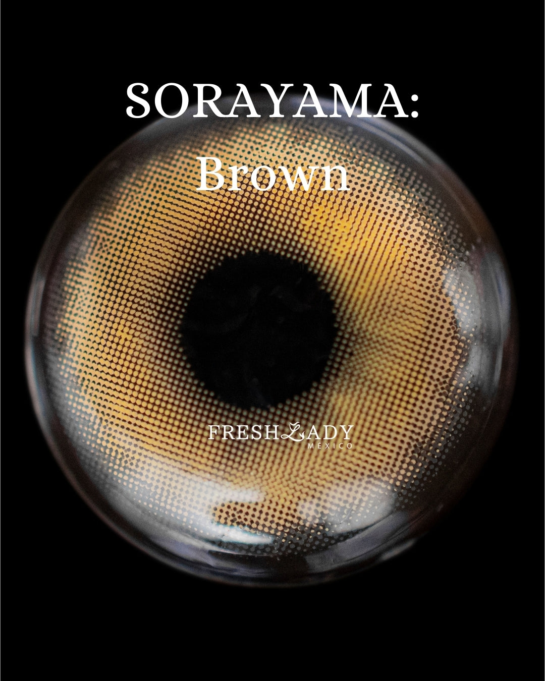 Brown: SORAYAMA CAJA de 10 lentes