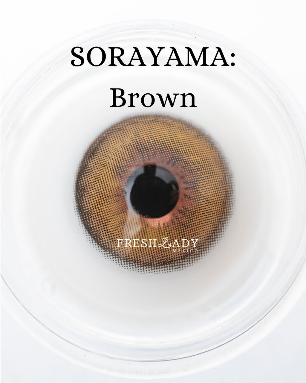 Brown: SORAYAMA CAJA de 10 lentes