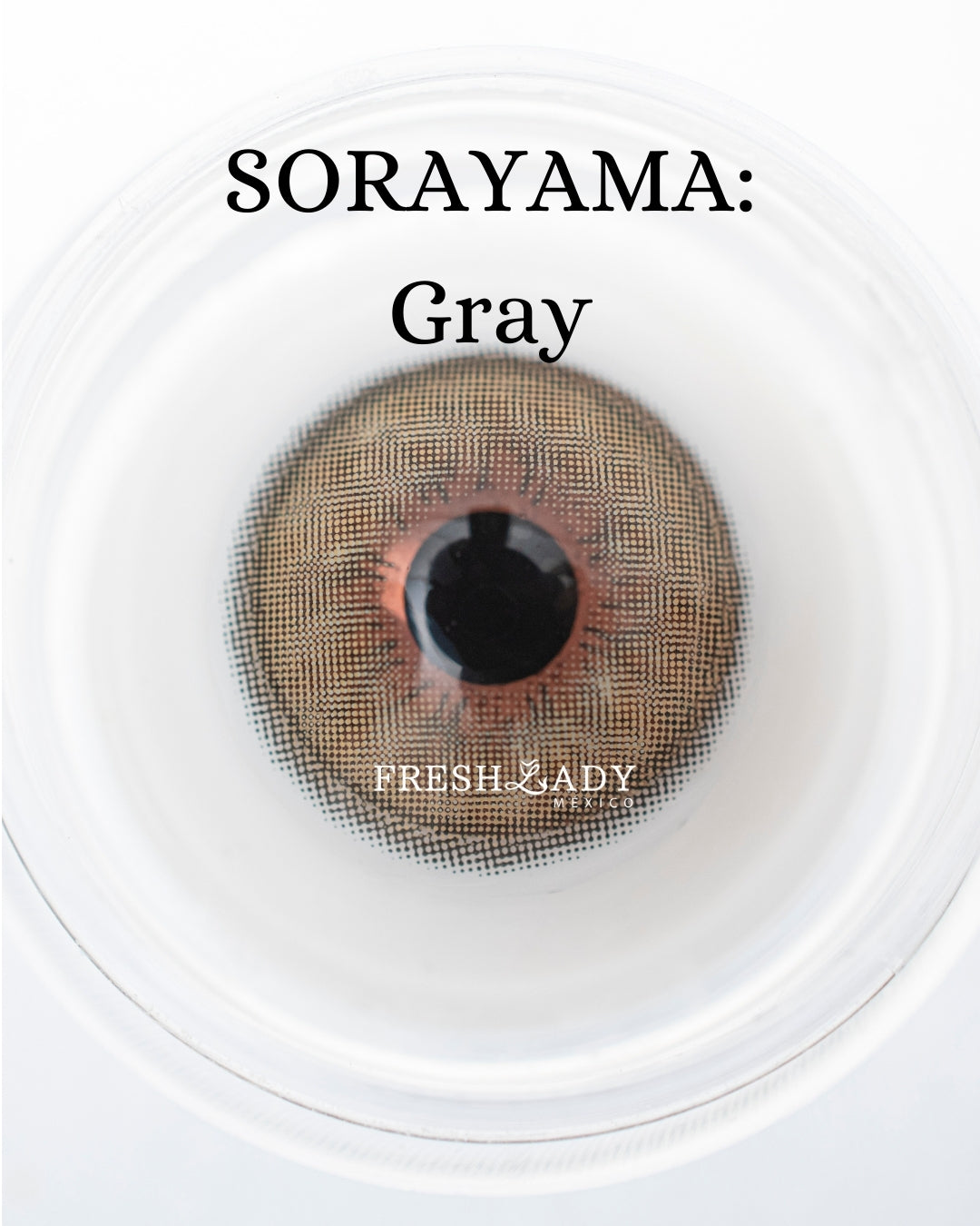Gray: SORAYAMA CAJA de 10 lentes
