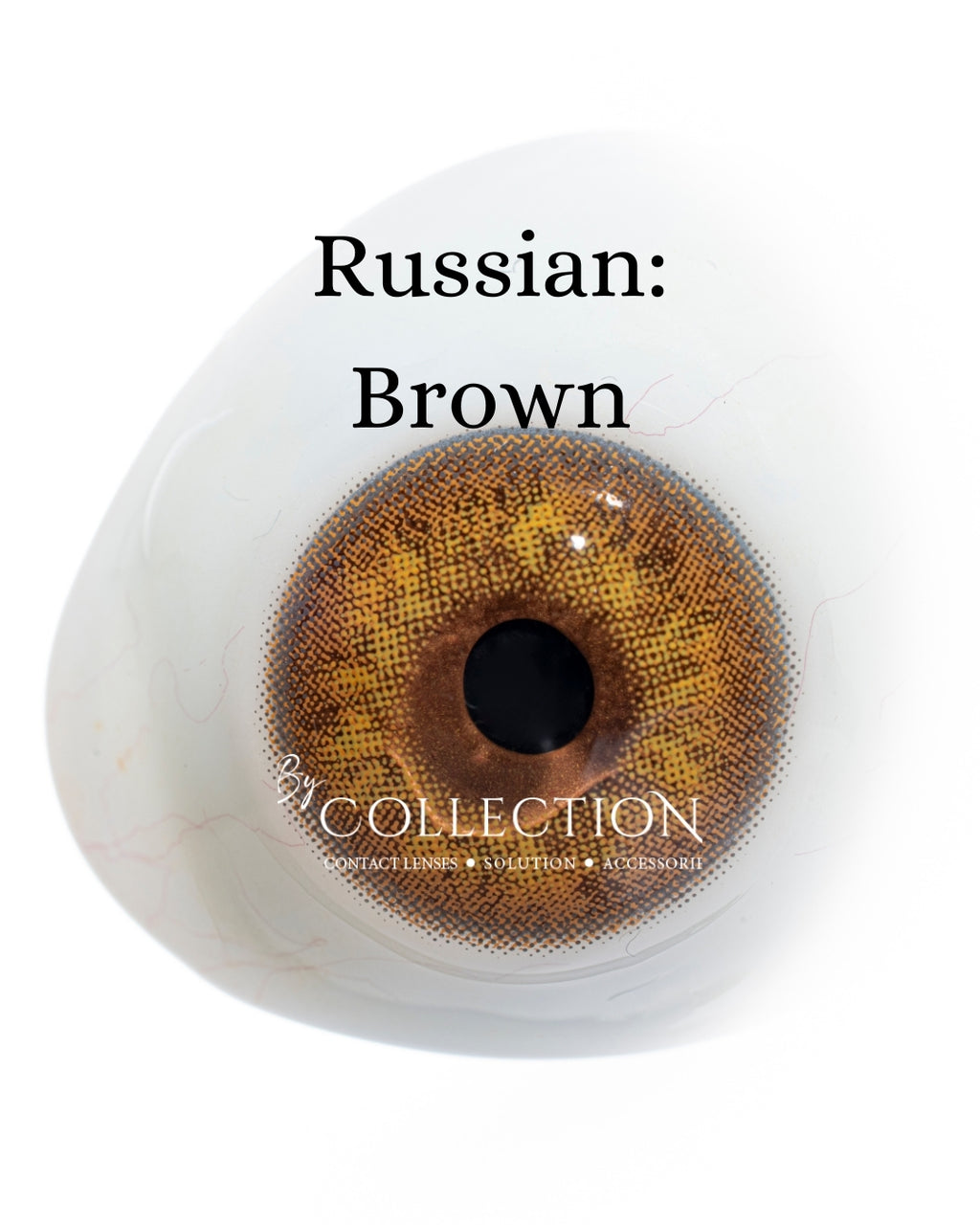 Brown: Russian Graduado