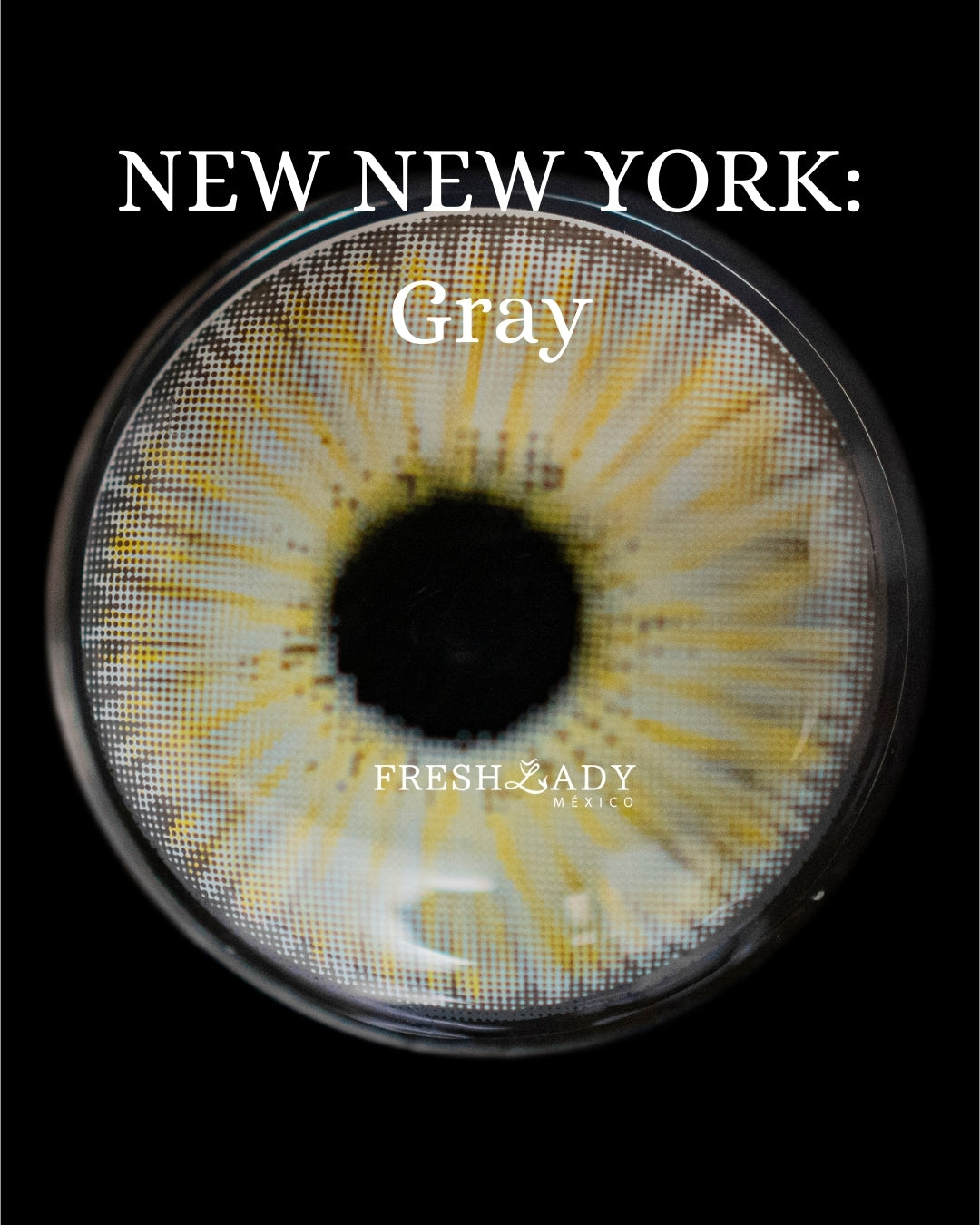 Gray: NEW NEW YORK CAJA de 10 lentes