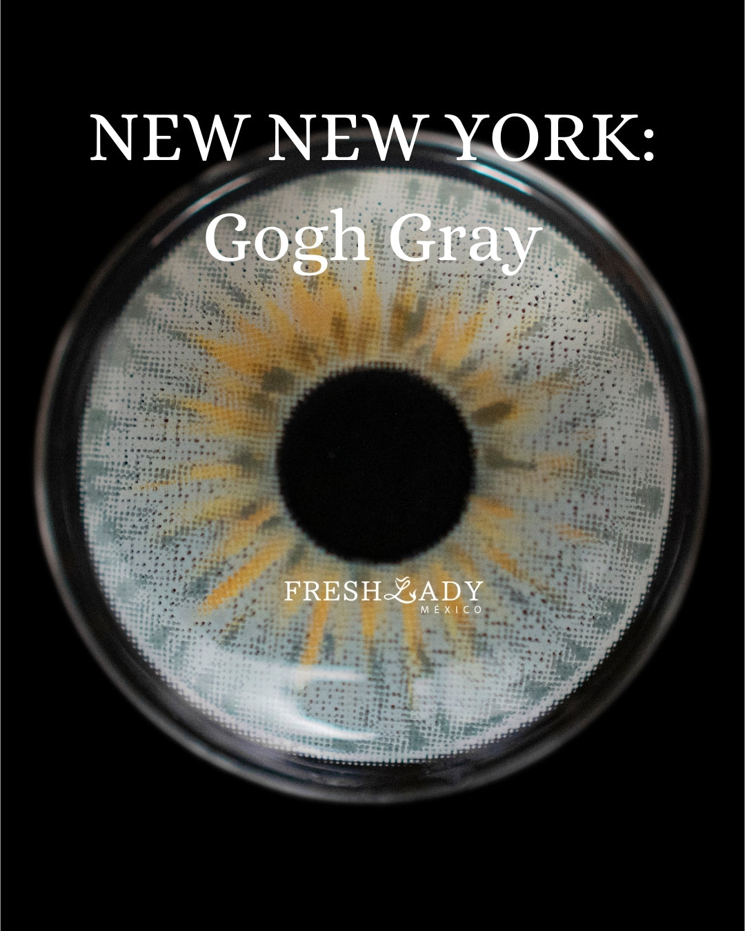 Gray Gogh: NEW NEW YORK CAJA de 10 lentes