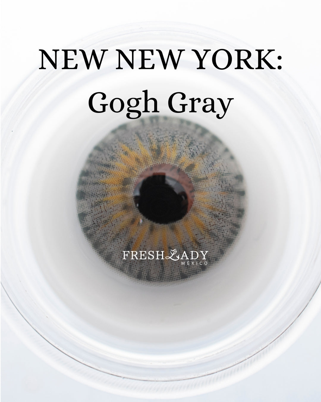 Gray Gogh: NEW NEW YORK CAJA de 10 lentes