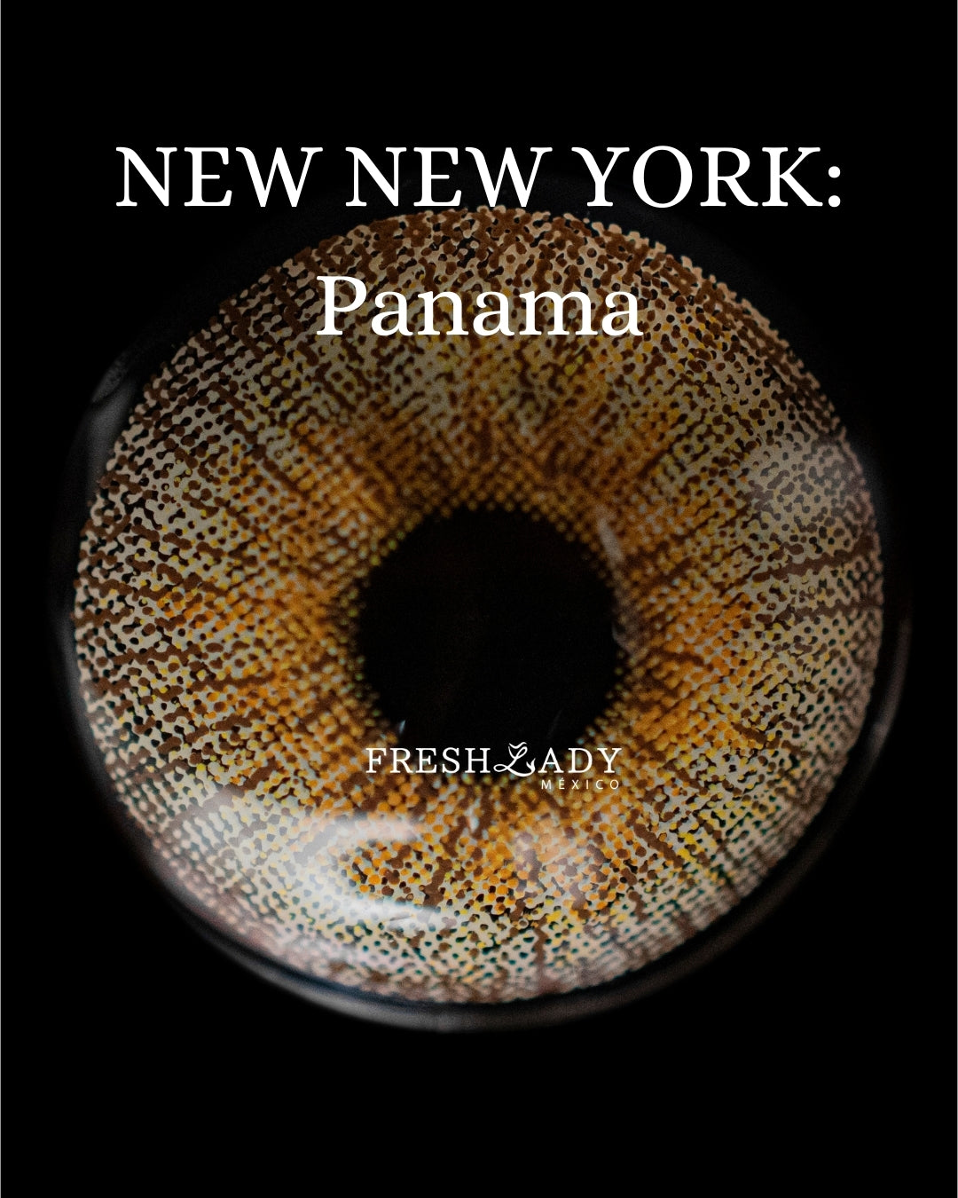 Brown Panama: New New York