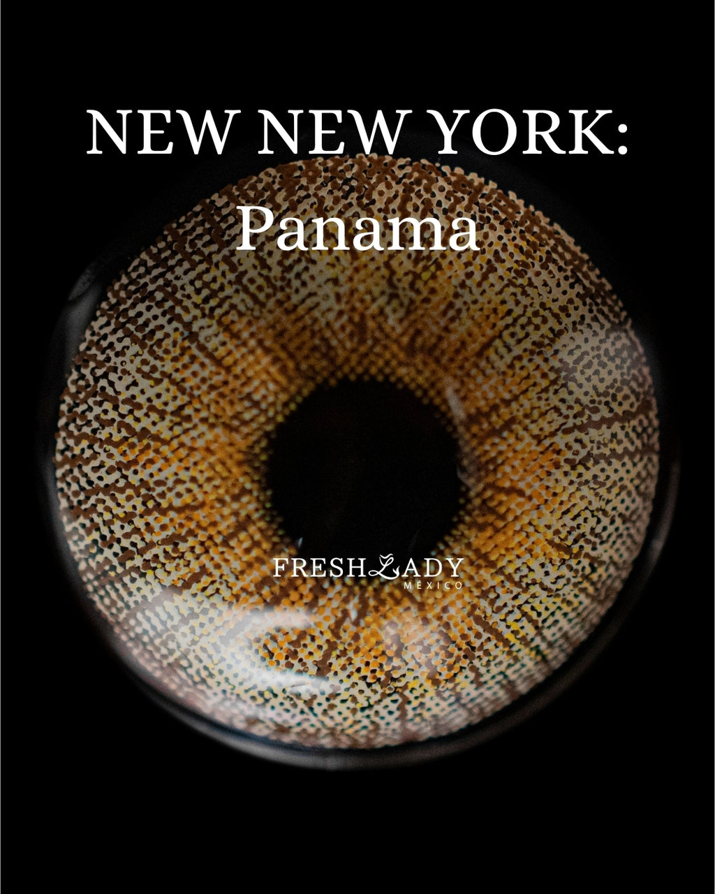 Brown Panama: NEW NEW YORK CAJA de 10 lentes