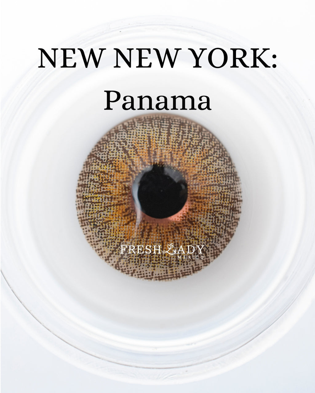 Brown Panama: New New York
