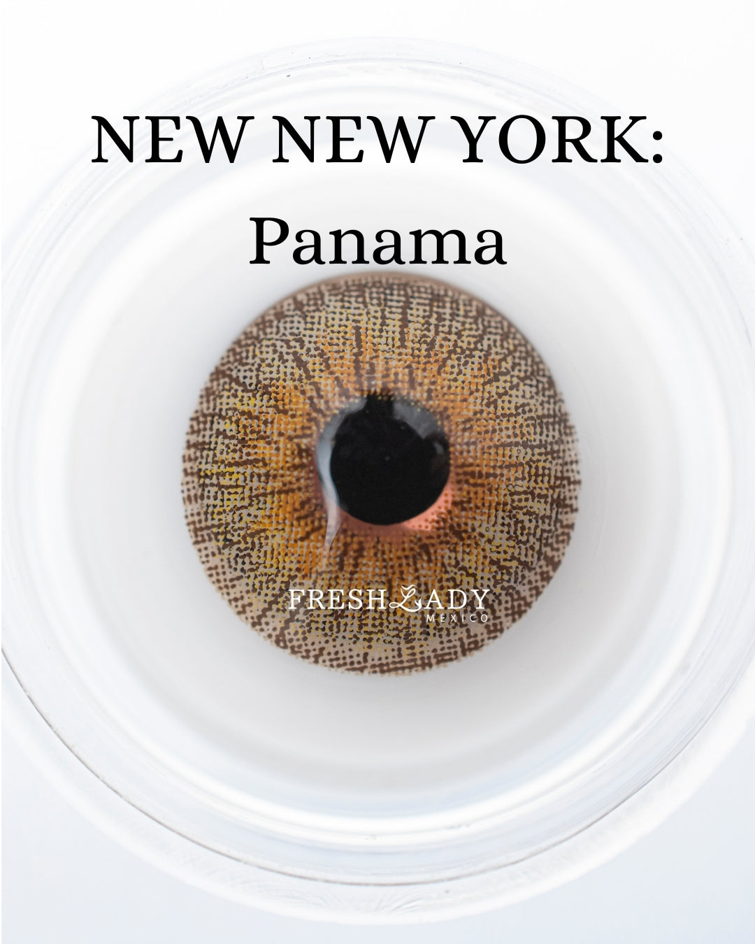Brown Panama: NEW NEW YORK CAJA de 10 lentes
