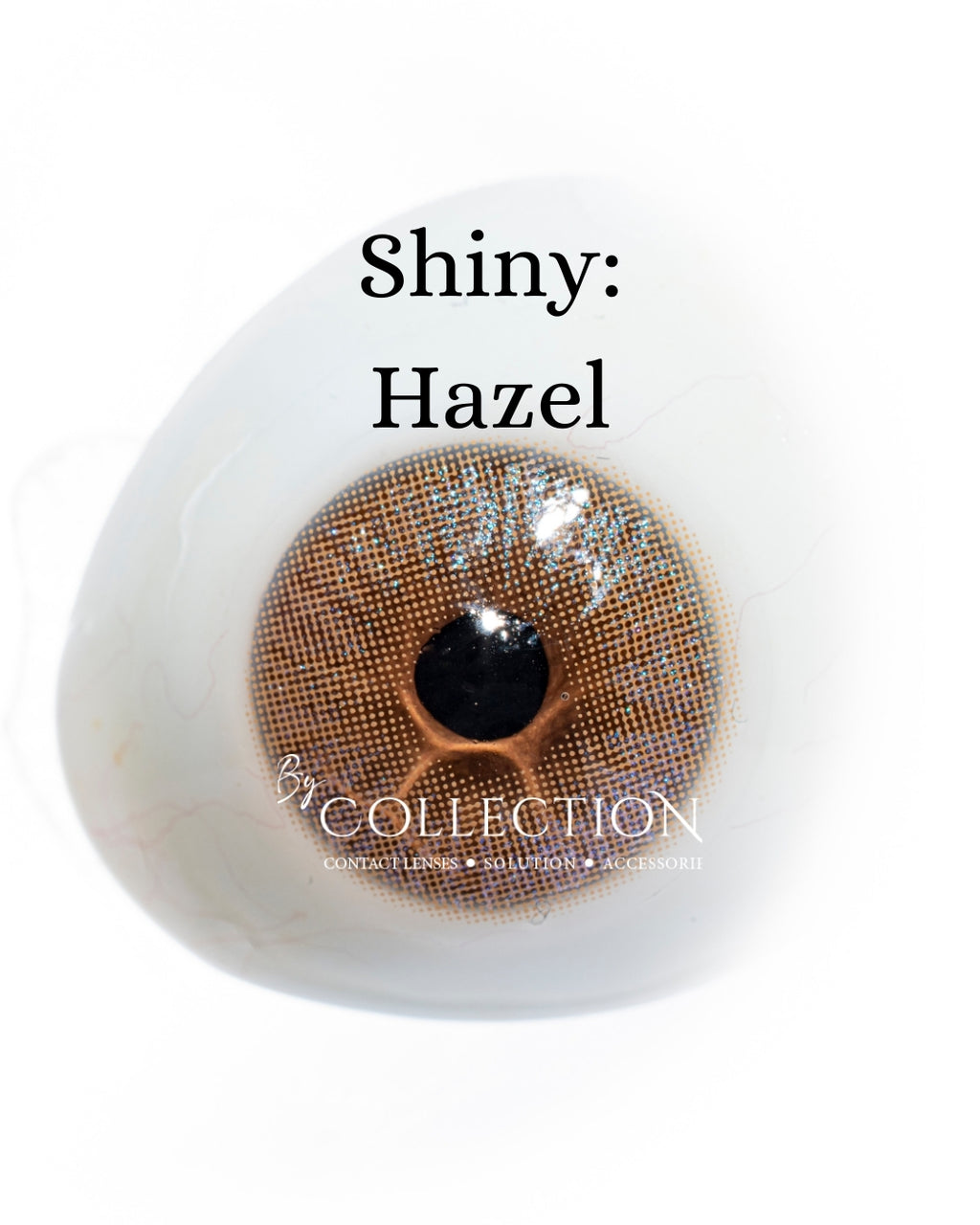 Hazel: Shiny