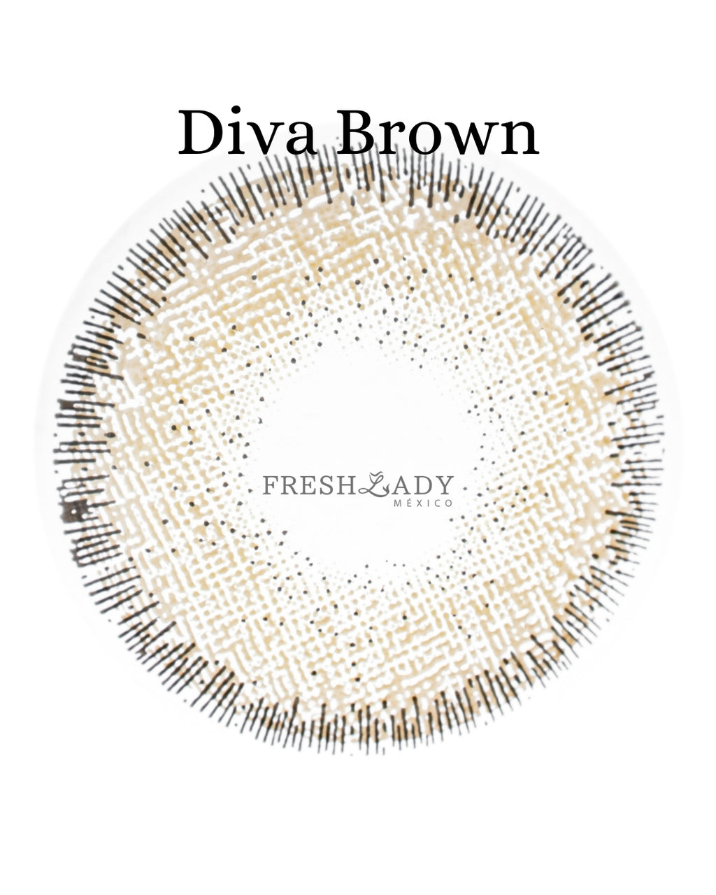 Brown: DIVA CAJA de 10 lentes