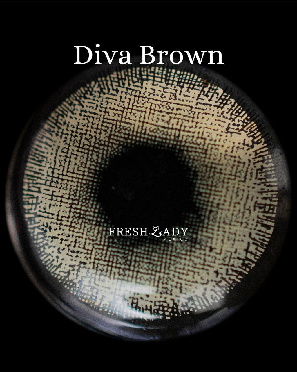 Brown: DIVA CAJA de 10 lentes