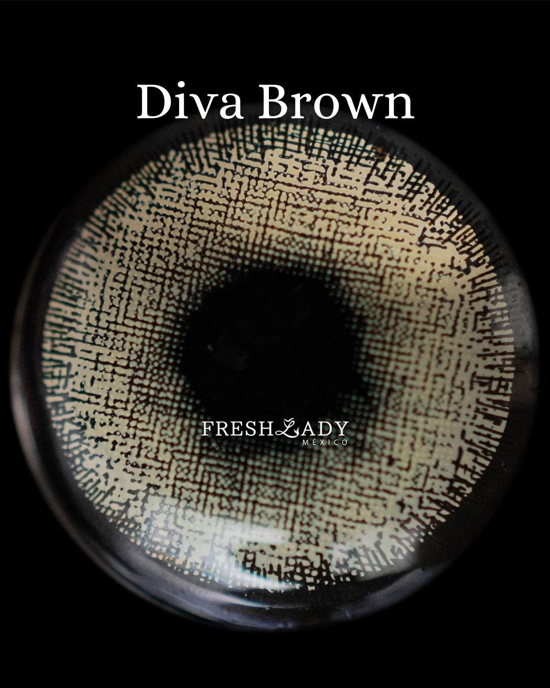 Brown: DIVA CAJA de 10 lentes