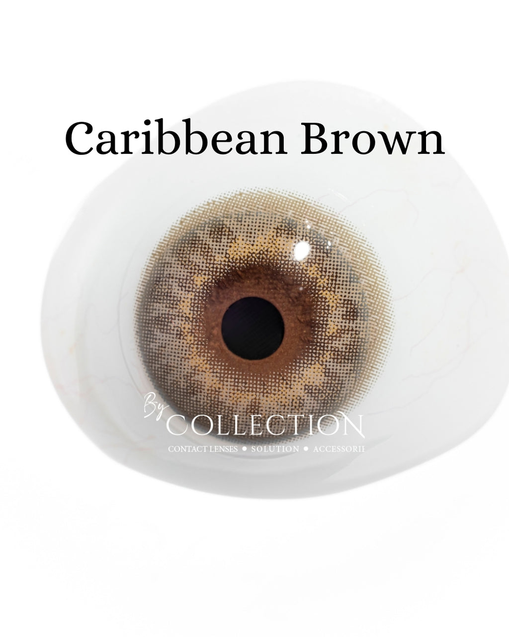 Brown Caribbean: Hazel Collection