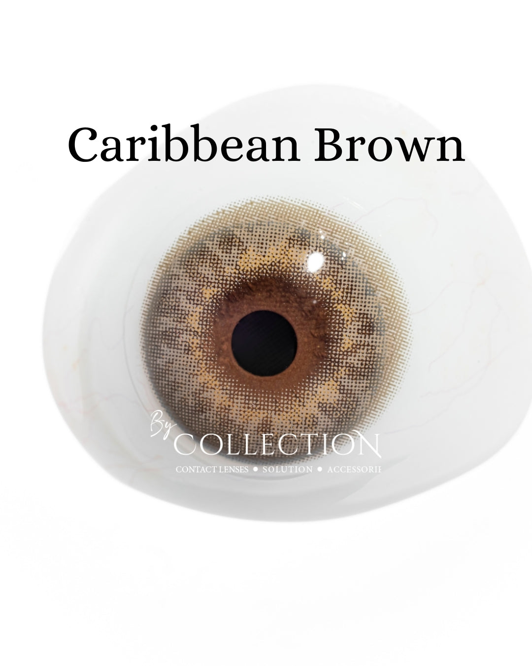 Brown Caribbean: Hazel Collection