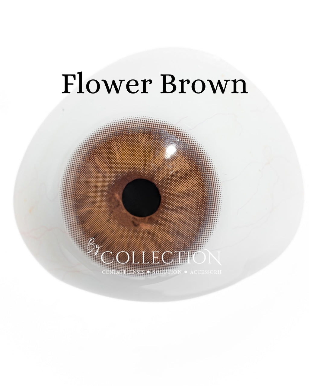 Brown Flower: Hazel Collection