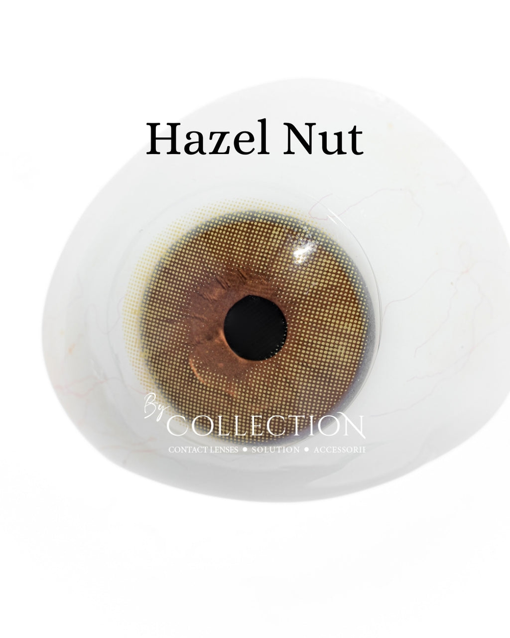 Hazel Nut: Hazel Collection