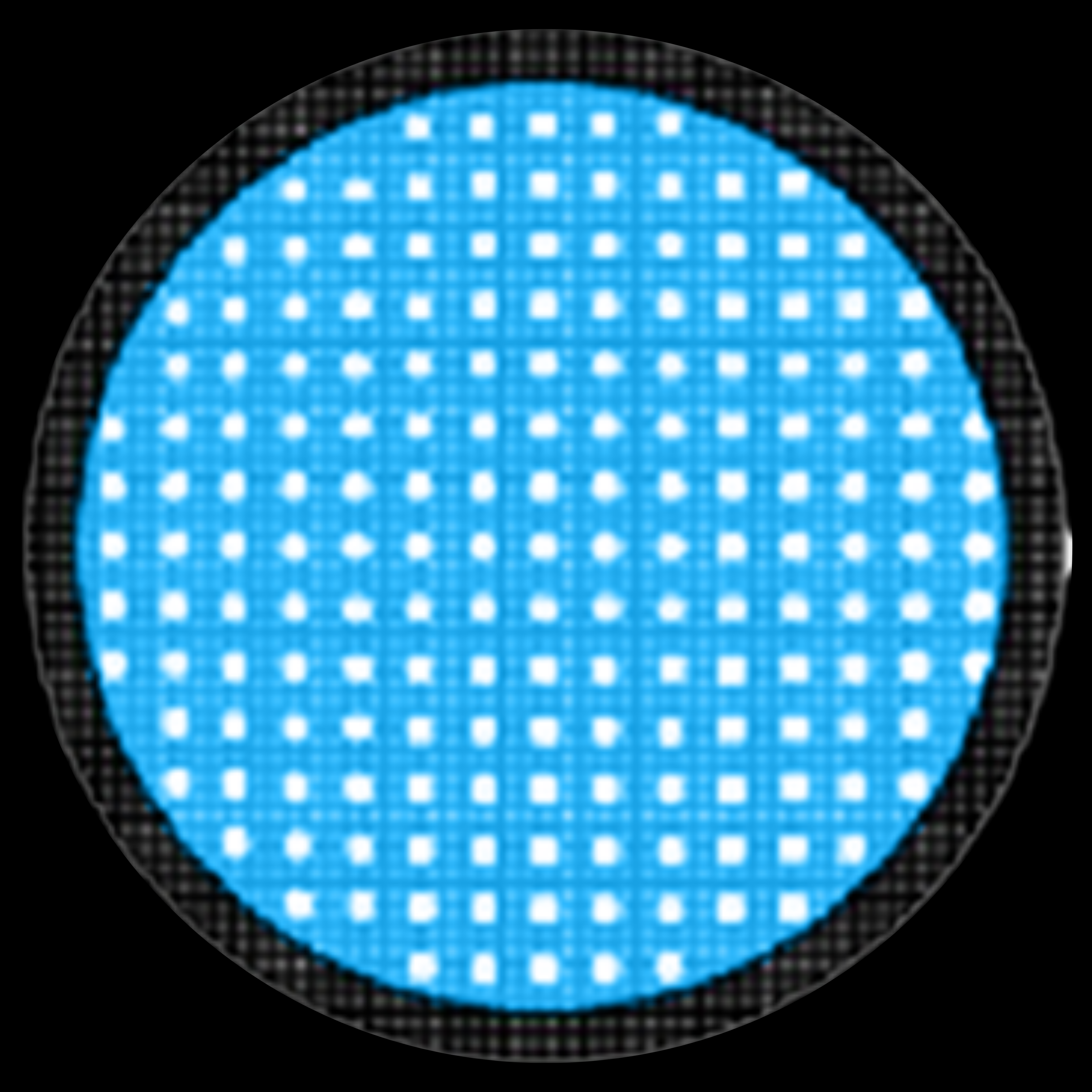 BLUE MESH